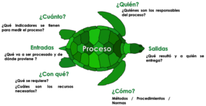 Consultores ISO Panama - Procesos Tortuga