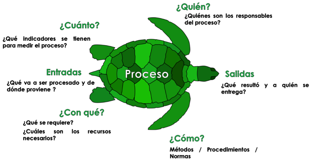 Consultores ISO Panama - Procesos Tortuga